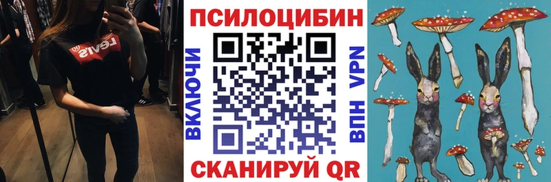 Галлюциногенные грибы ЛСД  сколько стоит  Кущёвская 